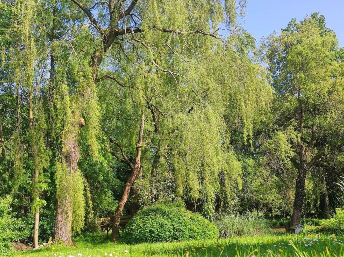 Cahagnes Le Moulin De Benneville Chambres D'Hotes, Petit Dejeuner Compris מראה חיצוני תמונה